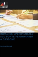 Indagine Sperimentale Sul Ponte Ferroviario a Cassone (Italian Edition) 6209801897 Book Cover