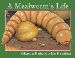 A Mealworm's Life (Nature Upclose) 0516272861 Book Cover