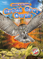 Great Gray Owls 1644871270 Book Cover