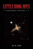 Little Book Open: Amuriden 1662439954 Book Cover
