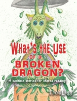 What's the Use of a Broken Dragon? 0473711575 Book Cover