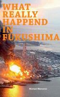 What really happened in Fukushima: Did we learn from the disaster? 373579341X Book Cover