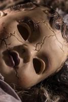 The Ordinary Doll 1720017344 Book Cover