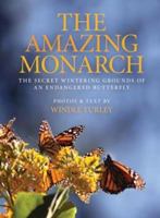 The Amazing Monarch: The Secret Wintering Grounds of an Endangered Butterfly 1935251945 Book Cover