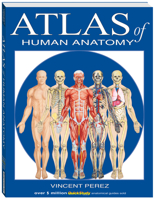 Atlas of the Human Anatomy: a QuickStudy Reference 1423251415 Book Cover