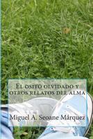 El osito olvidado y otros relatos del alma 1502472724 Book Cover