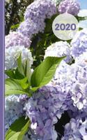 Hydrangea Floral Design: Diary Weekly Spreads January to December 108074939X Book Cover