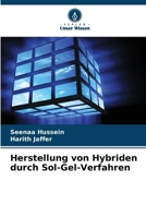 Herstellung von Hybriden durch Sol-Gel-Verfahren 6139678943 Book Cover