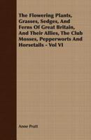 The Flowering Plants, Grasses, Sedges, and Ferns of Great Britain, and Their Allies, the Club Mosses, Pepperworts and Horsetails Volume 4 135595777X Book Cover