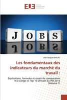 Les fondamentaux des indicateurs du marché du travail :: Explications, formules et essais de comparaison R.D.Congo vs Top 10 africain du PIB-2014(Volume 1) 6139549493 Book Cover