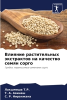 ??????? ???????????? ?????????? ?? ???????? ????? ?????: ??????, ??????????? ???????? ????? (Russian Edition) 6204889532 Book Cover