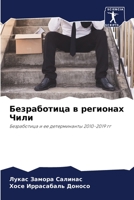 Безработица в регионах Чили: Безработица и ее детерминанты 2010-2019 гг 6205717255 Book Cover