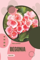 Begonia: Simply beginners guide B0CVBWR57X Book Cover