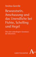 Bewusstsein, Anschauung Und Das Unendliche Bei Fichte, Schelling Und Hegel: Uber Den Unbedingten Grundsatz Der Erkenntnis 3495489118 Book Cover