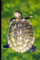 Sea Life: 6x9 120 page lined paperback notebook exercise book - beautiful underwater creatures, ocean notebook for school or creative writing 1702008894 Book Cover