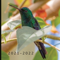 2021 - 2022: 18 Month Calendar | Monthly Photo Calendar | July 2021 - December 2022 | Monthly Calendar with U.S./UK/ Canadian/Christian/Jewish/Muslim Holidays | Beautiful Birds Calendar B092J6NSHM Book Cover