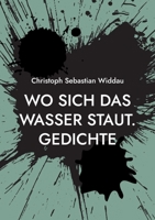 Wo sich das Wasser staut: Gedichte 3734716985 Book Cover
