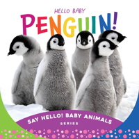 Hello Baby Penguin! 1534112839 Book Cover