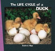 The Life Cycle of a Duck 1404255834 Book Cover