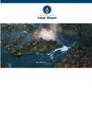 Die Rolle der Geber bei der Politikgestaltung 6205391007 Book Cover