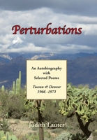 Perturbations 1669819728 Book Cover