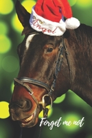Forget Me Not: Santa Horse Christmas.Internet Password Logbook with alphabetical tabs.Personal Address of websites, usernames, passwords notebook/Journal/Organizer/Keeper.Large printed format.Size 6x9 1712103865 Book Cover