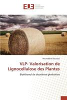 VLP- Valorisation de Lignocellulose des Plantes 384166878X Book Cover