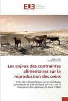 Les Enjeux Des Contraintes Alimentaires Sur La Reproduction Des Ovins 3841667732 Book Cover