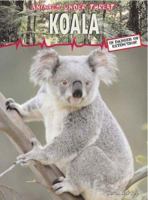 Koala (Animals Under Threat) 1403456925 Book Cover