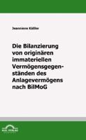Die Bilanzierung Von Origin Ren Immateriellen Verm Gensgegenst Nden Des Anlageverm Gens Nach Bilmog 3868152458 Book Cover