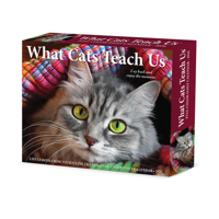 2026 What Cats Teach Us Box 1549254502 Book Cover