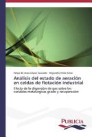 Analisis del Estado de Aeracion En Celdas de Flotacion Industrial 3639551419 Book Cover