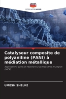 Catalyseur composite de polyaniline (PANI) à médiation métallique (French Edition) 6203240087 Book Cover
