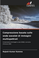 Compressione basata sulle onde wavelet di immagini multispettrali (Italian Edition) 6209781195 Book Cover