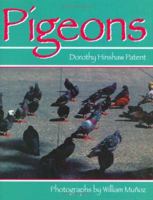 Pigeons 0395698480 Book Cover