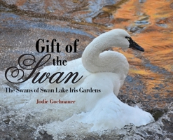 Gift of the Swan : The Swans of Swan Lake Iris Gardens 1735769606 Book Cover