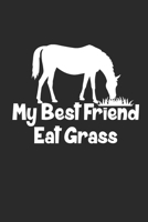 MY BEST FRIEND EATS GRASS: Horse Notizbuch Pferd Planer Reiten Notebook Pferde Journal kariert squared 6x9 1690947675 Book Cover