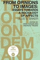 From Opinions to Images: Essays Towards a Sociology of Affects 9492302667 Book Cover