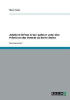 Adalbert Stifters Granit gelesen unter den Pr�missen der Vorrede zu Bunte Steine 363864734X Book Cover