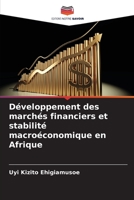 Développement des marchés financiers et stabilité macroéconomique en Afrique 6206066940 Book Cover