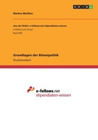 Grundlagen der Bilanzpolitik 365602801X Book Cover