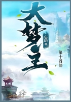 ???: ???? (Chinese Edition) 1088247040 Book Cover