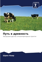 ???? ? ????????? (Russian Edition) 6207539567 Book Cover