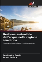 Gestione sostenibile dell'acqua nella regione semiarida (Italian Edition) 6209814875 Book Cover