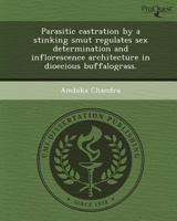 Parasitic castration by a stinking smut regulates sex determination and inflorescence architecture in dioecious buffalograss. 1243705493 Book Cover