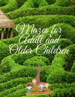 Mazes for Adult and Older Children: Amazing Maze Activity Book for adult and older children . Workbook for fun, Games, Puzzles, Spatial Awareness and B0892HTLB1 Book Cover