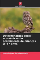 Determinantes socio-económicas do acolhimento de crianças (5-17 anos) 6204128477 Book Cover