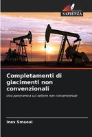Completamenti di giacimenti non convenzionali (Italian Edition) 6209548245 Book Cover
