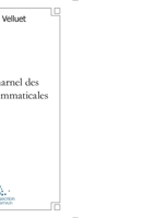 Vertige charnel des flammes grammaticales (French Edition) 2332470336 Book Cover