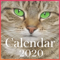 Funny Cat 2020 calendar: Funny Cat Wall Calendar 2020 (Funny Gift Yearly Calendar, Cat Lover Present) 1660821541 Book Cover